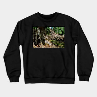 Yaxchilan, Mexico Crewneck Sweatshirt